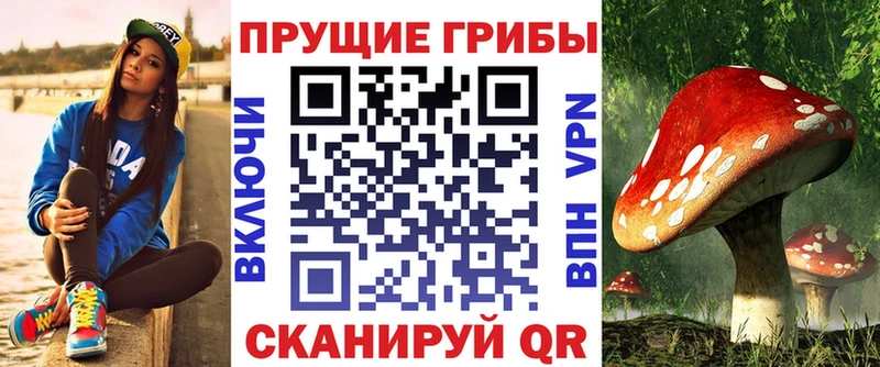 Псилоцибиновые грибы Psilocybe Узловая