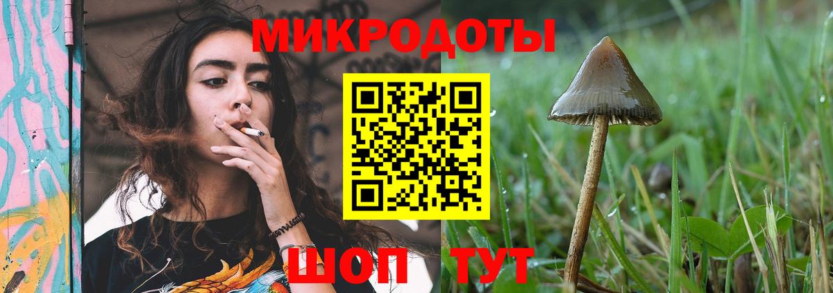 Псилоцибиновые грибы мицелий Узловая
