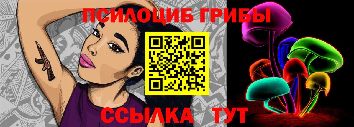 Псилоцибиновые грибы Cubensis  Вход с VPN  Узловая 